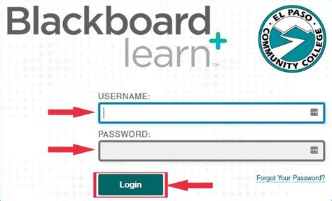 blackboard pnu|my epcc blackboard sign in.